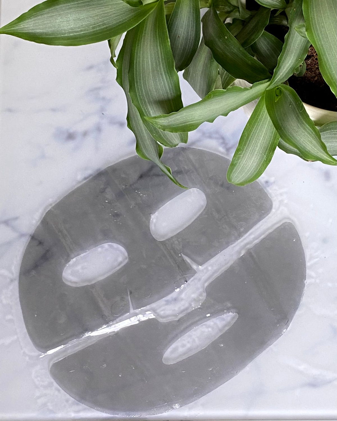 ZitSticka Daphne Lepla PRESS REFRESH mask 