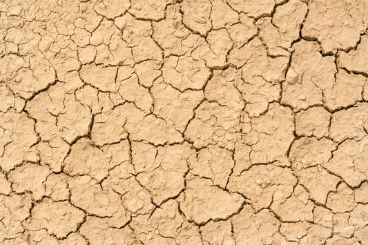 Smearing Pounds Of Moisturizer On, But Still Desert-Dry?